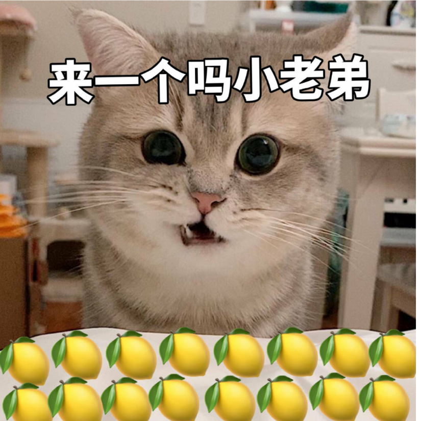 袁斯复