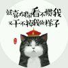 你可能捡了个假灯笼