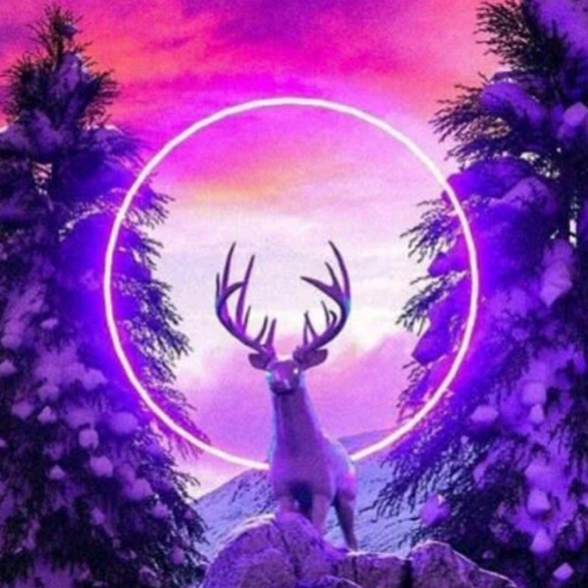 沐