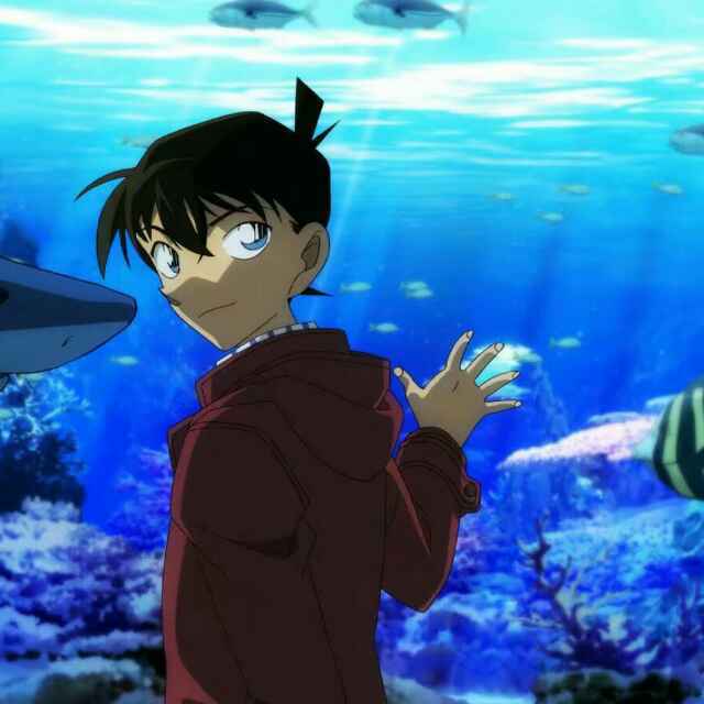 来来来