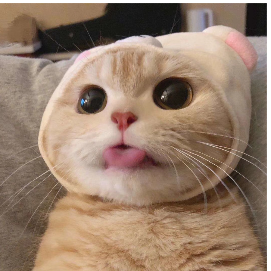 鬼鬼