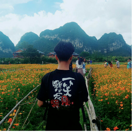 薇心着墨无卸时