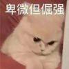 楊