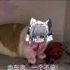 寒心