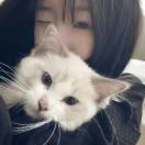 恒真式