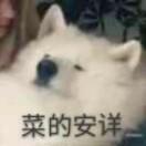 吃糖醋鱼的猫