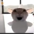 泡泡人阿尼斯45