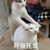 嗡嗡嗡~