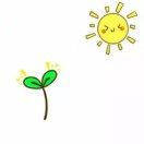 🌱