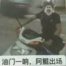 蒸艾粉