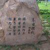 小鱼哥