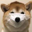 shu