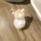 ᑋᵉᑊᑊᵒ