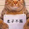 瞎