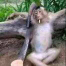 齐天大圣