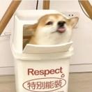彦霖。