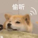 半天