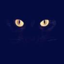 春,Sir