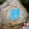以梦为马