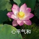 天启茶癫
