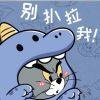 巧克力把117给吃了