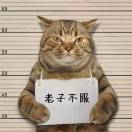 烟儿