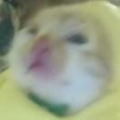 哇