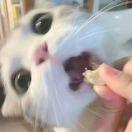 某白