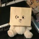 c十二