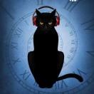 薛定谔的猫