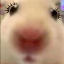 AT