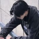 诸葛介尘