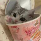 王知同