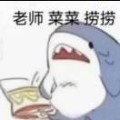 琴