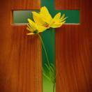 让心归灵感谢主