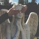 土豆发芽真没毒