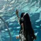 捧玫瑰等雨停³