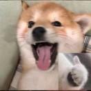 。敌视