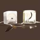 空中的星¹🇹 🇼 🇴³