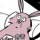海人维尔汀