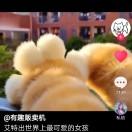 你比星星美丽耀眼