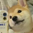第二杯半价