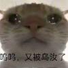 小天