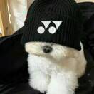 犹豫，