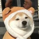 心痛