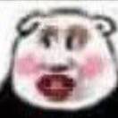 n圣b
