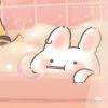 荣月灵的小梅花许嵩见过版