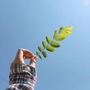 心有你不會孤單.