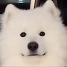 是小雨诶