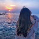 鹤浔雾